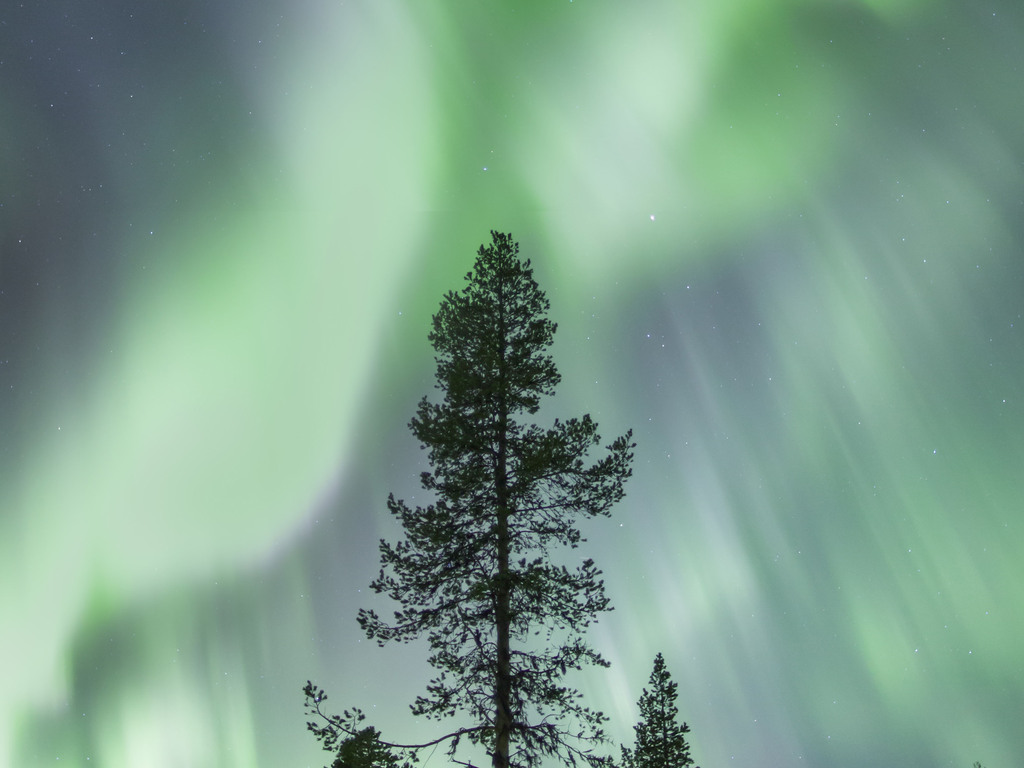 Finland and Sweden: Adventures in Lapland